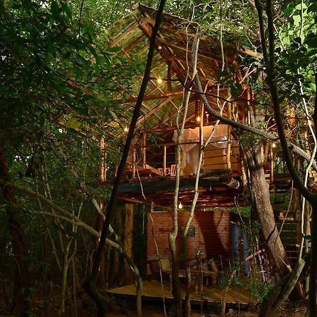 Back Of Beyond - Pidurangala Villa Szigirija Kültér fotó