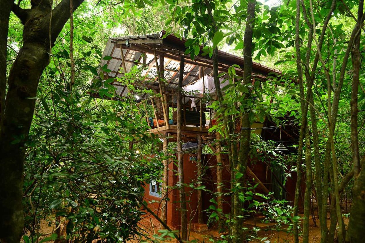 Back Of Beyond - Pidurangala Villa Szigirija Kültér fotó