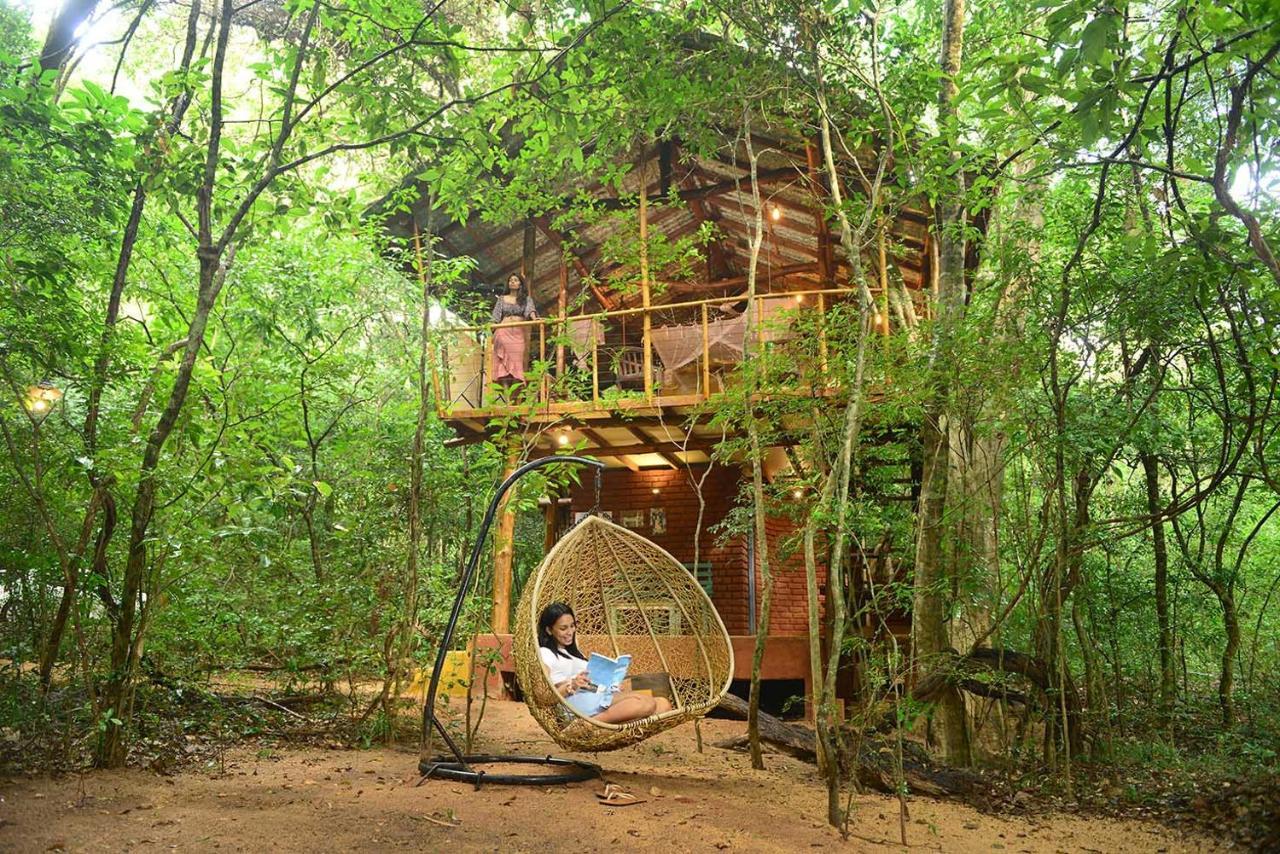 Back Of Beyond - Pidurangala Villa Szigirija Kültér fotó