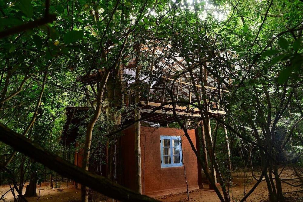Back Of Beyond - Pidurangala Villa Szigirija Kültér fotó